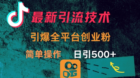 最新引流方法，引爆全平台的一个创业粉，简单操作日引300+-木白网创