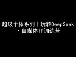 超级个体系列，玩转DeepSeek·自媒体IP训练营，deepseek教程-木白网创