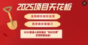 2025项目天花板普通人如何通过知识付费，实现财F自由【揭秘】-木白网创