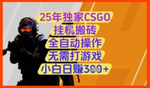 25年独家CSGO挂G搬砖，全自动操作，无需打游戏，小白日入3张+【揭秘】-木白网创