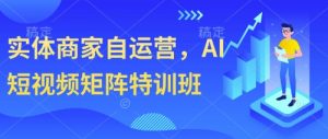 实体商家自运营，AI短视频矩阵特训班-木白网创