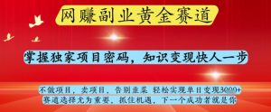 网创副业黄全赛道，掌握独家项目密码，知识变现快人一步，告别韭菜轻松实现单日变现1k+【揭秘】-木白网创