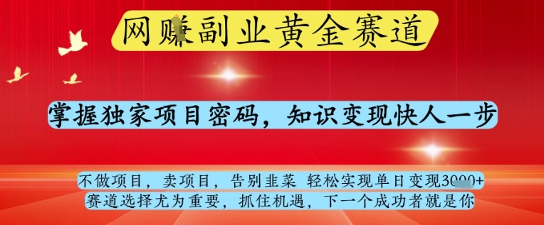 网创副业黄全赛道，掌握独家项目密码，知识变现快人一步，告别韭菜轻松实现单日变现1k+【揭秘】-木白网创