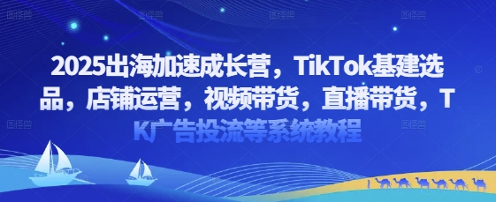 2025出海加速成长营，TikTok基建选品，店铺运营，视频带货，直播带货，TK广告投流等系统教程-木白网创