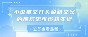 小说推文开头吸睛文案的底层思维逻辑实操-木白网创
