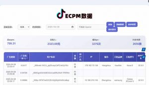 2025最热抖音官方项目 Ai时代风口项目小程序游戏开发 实测单个游戏日收...-木白网创