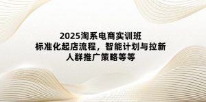 2025淘系电商实训班：标准化起店流程，智能计划与拉新，人群推广策略等等-木白网创