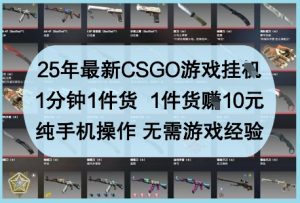 25年最新CSGO游戏挂G，1分钟1件货，1件货挣10元，纯手机操作，无需游戏经验【揭秘】-木白网创