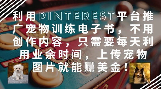 利用Pinterest平台推广宠物训练电子书，不用创作内容，只需要每天利用业余时间，上传宠物图片就能挣美金!-木白网创