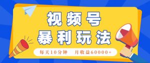 视频号AI赚钱法，每天只需10分钟，月入6万+！(超详细拆解)-木白网创