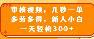 视频审核员，几秒一单，不限时间，不限地点，多做多得，新人小白一天轻松几张+【揭秘】-木白网创