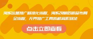 淘系运营推广标准化流程，​淘系改版后新品布局全流程，无界推广工具拆解高阶玩法-木白网创