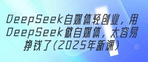 DeepSeek自媒体轻创业，用DeepSeek做自媒体，太容易挣钱了(2025年新课)-木白网创