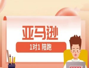 亚马逊1对1陪跑课(FBA/FBM精铺)跨境亚马逊教程-木白网创
