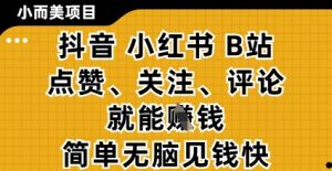 小而美的项目，抖音小红书B站视频点赞、关注、评论就能挣钱，简单无脑立见收益，妥妥的零撸项目【揭秘】-木白网创