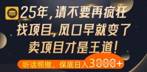 什么？25年你还在疯狂找项目做，醒醒吧，看完这些你全都懂了【揭秘】-木白网创