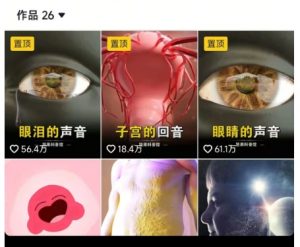 抖音坚果3D动画科普项目，撸视频号分成和抖音伙伴计划，适合零基础小白-木白网创