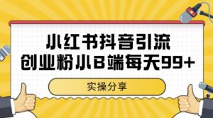 小红书抖音创业粉，小B端粉自热，日引99+的一个玩法【揭秘】-木白网创