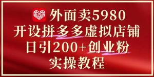 外面卖5980开设拼多多虚拟店铺：单日引流200+创业付费粉实战教程-木白网创