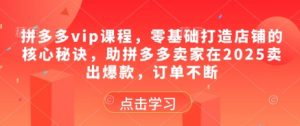 拼多多vip课程,零基础打造店铺的核心秘诀,助拼多多卖家在2025卖出爆款,订单不断-木白网创