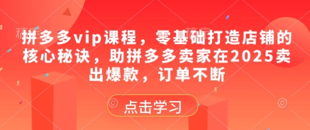 拼多多vip课程，零基础打造店铺的核心秘诀，助拼多多卖家在2025卖出爆款，订单不断-木白网创