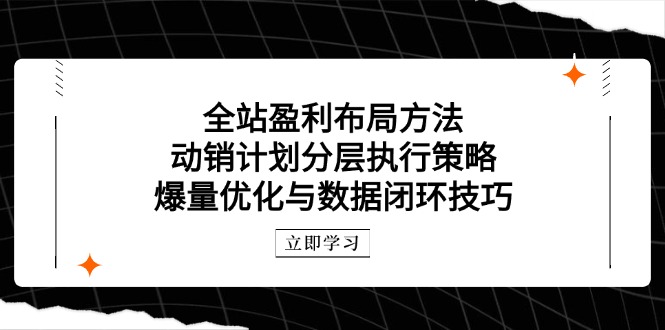 全站盈利布局方法：动销计划分层执行策略，爆量优化与数据闭环技巧-木白网创