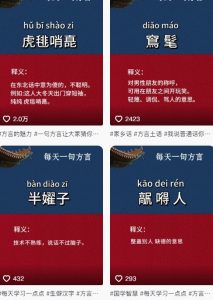 抖音最新涨粉玩法，图文方言暴力涨粉实操，126作品涨粉11W-木白网创