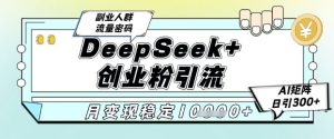DeepSeek+创业粉精准引流，全新分享课4.0玩法，AI矩阵日引300+，多种变现方式，稳定月入1W-木白网创