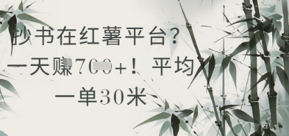 抄书在小红薯平台？平均一单30米，一天收益几张！-木白网创
