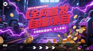 全网首发，2025年最新稳定暴力全自动自撸项目，无限制批量操作，日入多张【揭秘】-木白网创