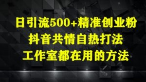 日引流500+精准创业粉，抖音共情自热打法，工作室都在用的方法-木白网创