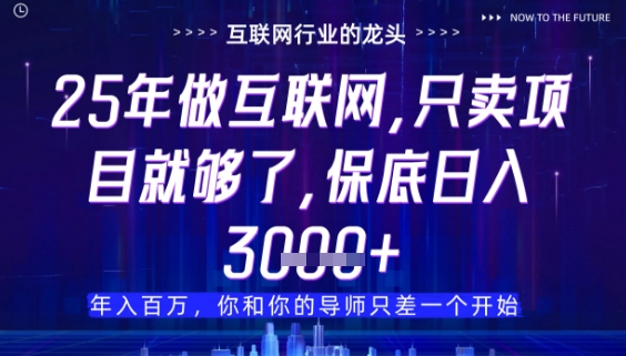 什么！25年你还在找项目做？风口早就变了，卖项目才是稳挣不赔【揭秘】-木白网创