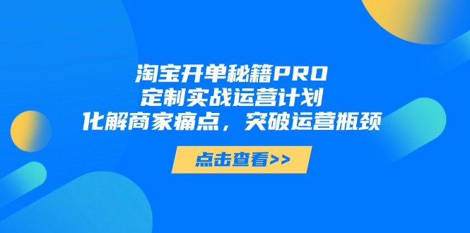淘宝开单秘籍PRO，定制实战运营计划，化解商家痛点，突破运营瓶颈-木白网创