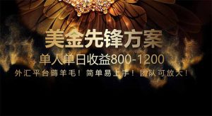 免费技术！小众赛道！一年布局抵三年努力，每日800+-木白网创