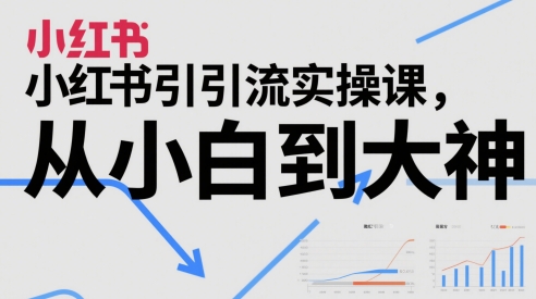 小红书引流实操课，从小白到大神-木白网创