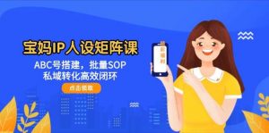 宝妈IP人设矩阵课：ABC号搭建，批量SOP，私域转化高效闭环-木白网创