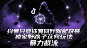 抖音只要你有同行就能获客，独家野路子获客玩法，暴力截流【揭秘】-木白网创
