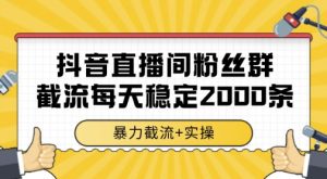 抖音直播间粉丝群暴力截流，一台电脑每天稳定2000条数据，暴力截流+实操 【揭秘】-木白网创