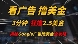 看广告，撸美金！！3分钟赚2.5美金！！日入200美金不是梦！揭秘Google...-木白网创