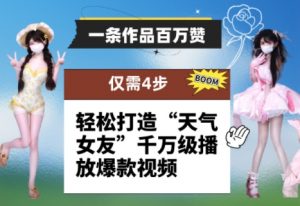 一条作品百万赞！ 只需4步，轻松打造“天气女友”千万级播放爆款视频-木白网创