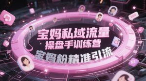 宝妈私域流量操盘手训练营，宝妈粉精准引流-木白网创