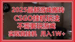 2025最新游戏搬砖，CSGO挂机，不需要玩游戏，实现真挂机，月入1W+-木白网创