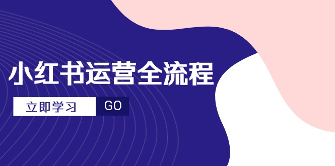小红书运营全流程，爆款选题文案，视频制作技巧，进阶达人宝典-木白网创
