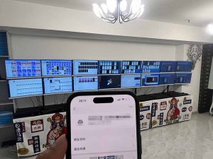 2025年实操六大项目实操演练，挂机类型，AI直播类型，轻资产创业类型，...-木白网创