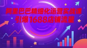 阿里巴巴精细化运营实战课，引爆1688店铺流量-木白网创