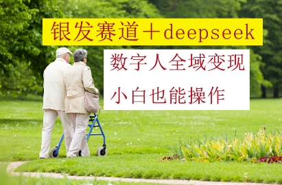 银发赛道+deepseek数字人全域变现，小白也能操作-木白网创