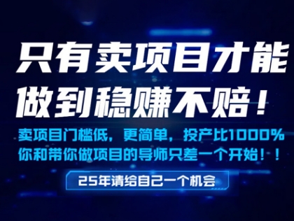 只有卖项目才能做到稳挣不赔，门槛低，更简单，你也可以年入百个W【揭秘】-木白网创
