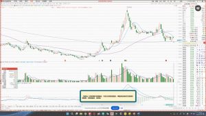 大师兄·鹿鼎山系列内部课程(更新5月)-木白网创