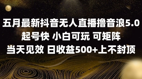 2025五月最新无人直播撸音浪单日产出5张+实操教程【揭秘】-木白网创