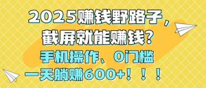 2025赚钱野路子，截屏就能赚钱？手机操作0门槛，一天躺赚600+！！！-木白网创